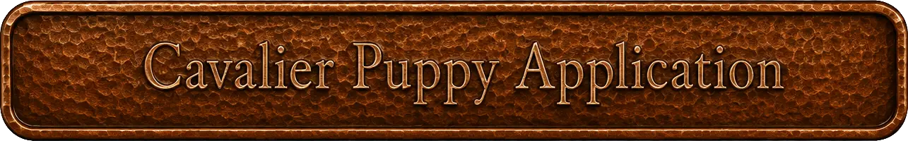 Cavalier Puppy Application